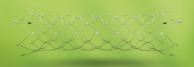 Stent Flex Plus ACCLINO
